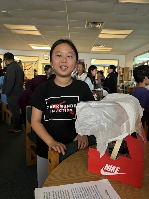 Taekwondo In Action - Reston/Herndon Picture 9