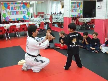 Mountain Kim Martial Arts Picture 3