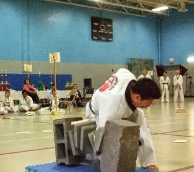 Mountain Kim Martial Arts Picture 1