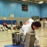 Mountain Kim Martial Arts ico