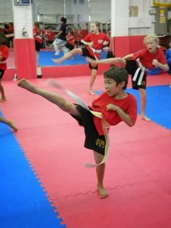 Mountain Kim Martial Arts Picture 9