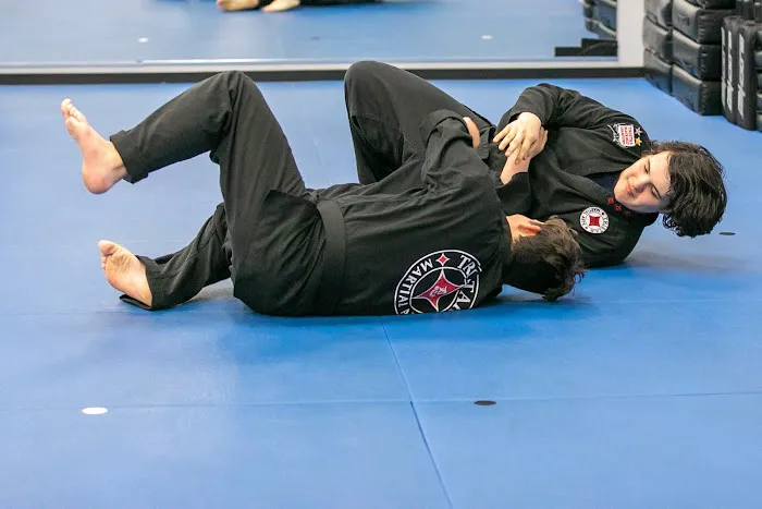 Tristar Martial Arts of Mount Airy Picture 1