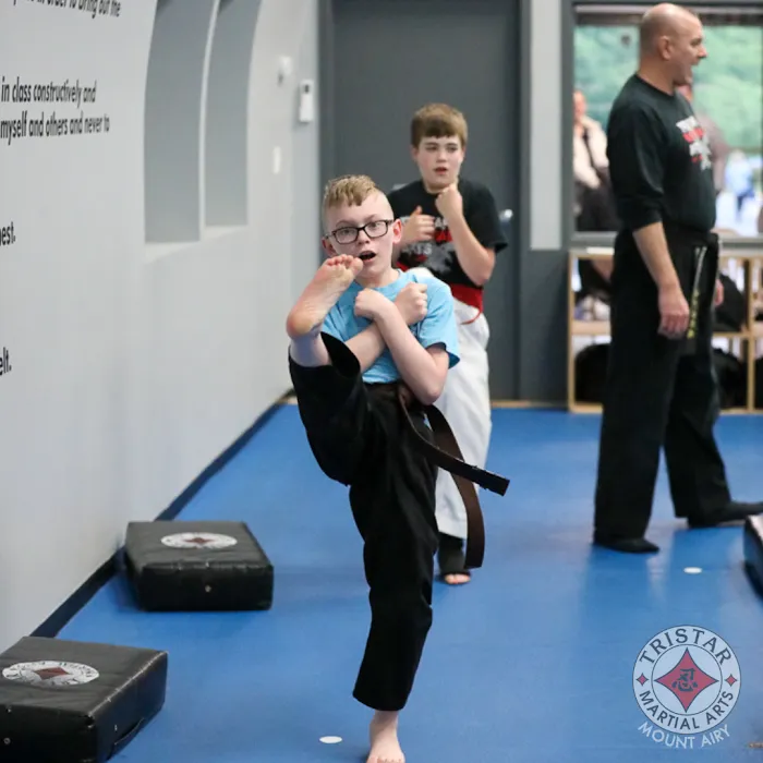 Tristar Martial Arts of Mount Airy Picture 9