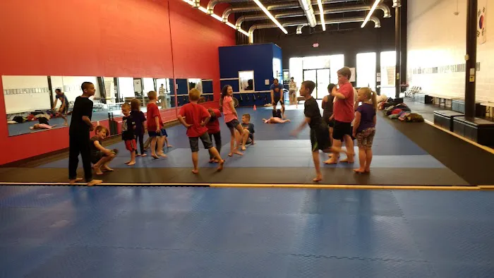 JHMS Martial Arts (Jong Hap Mu Sool) Picture 3