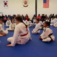 JHMS Martial Arts (Jong Hap Mu Sool) ico