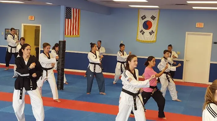 iTiger Taekwondo Academy Picture 2