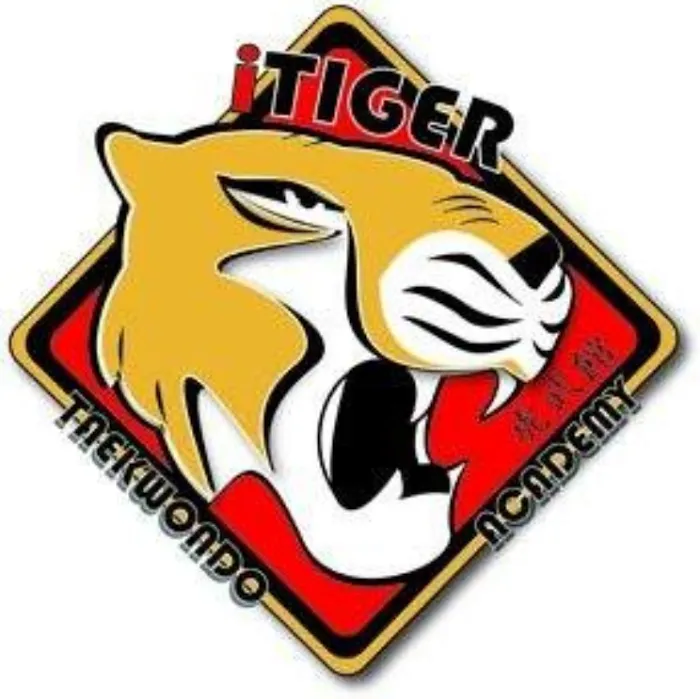 iTiger Taekwondo Academy Picture 10