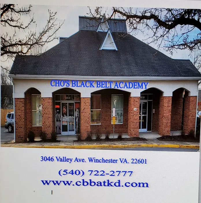 Cho's Black Belt Academy Picture 3