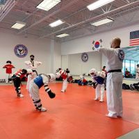 MJ ELITE MARTIAL ARTS ico