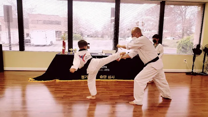 MJ ELITE MARTIAL ARTS Picture 9