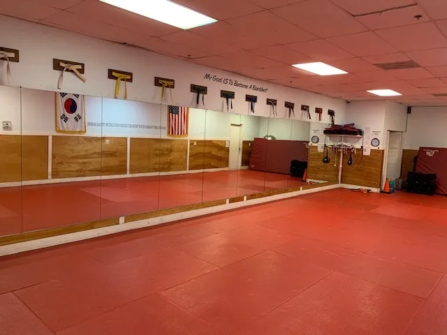 Highkicks Taekwondo of Chantilly Picture 3