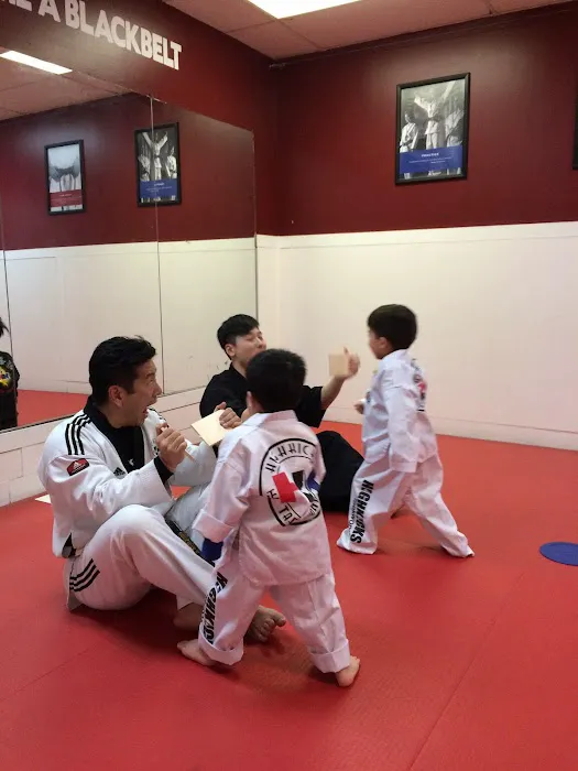 Highkicks Taekwondo of Chantilly Picture 6