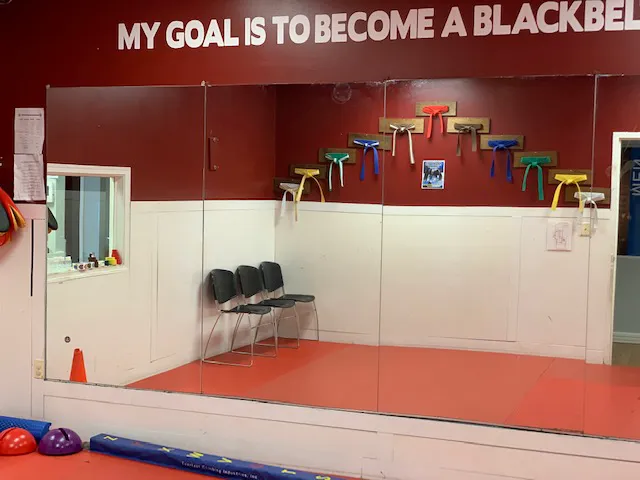 Highkicks Taekwondo of Chantilly Picture 7