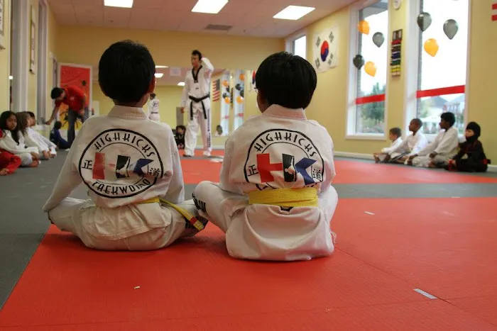 Highkicks Taekwondo of Chantilly Picture 10
