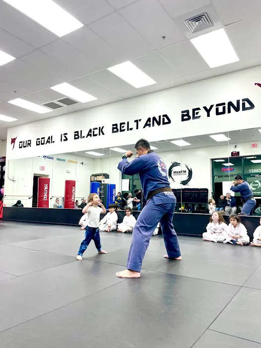 Black Dragon Martial Arts - After School Program / Summer Camp Picture 1