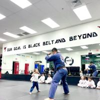 Black Dragon Martial Arts - After School Program / Summer Camp ico
