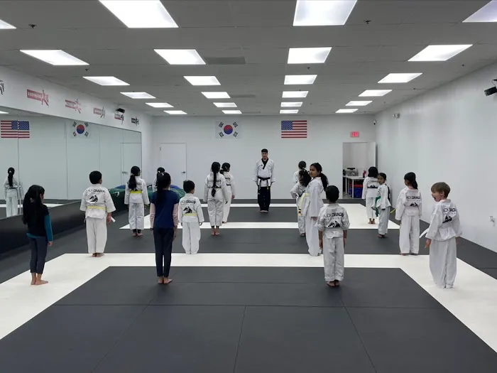 Black Dragon Martial Arts - After School Program / Summer Camp Picture 4