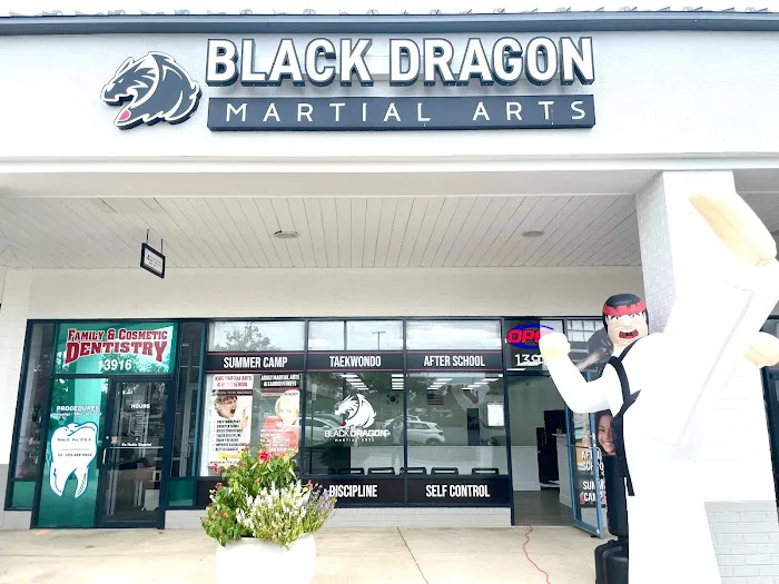 Black Dragon Martial Arts - After School Program / Summer Camp Picture 3