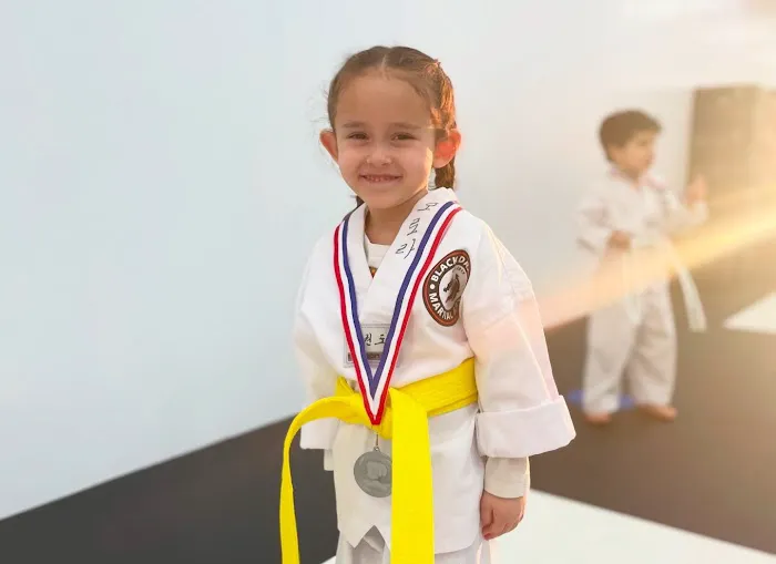 Black Dragon Martial Arts - After School Program / Summer Camp Picture 2