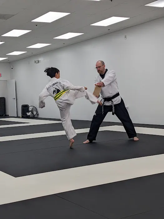 Black Dragon Martial Arts - After School Program / Summer Camp Picture 6