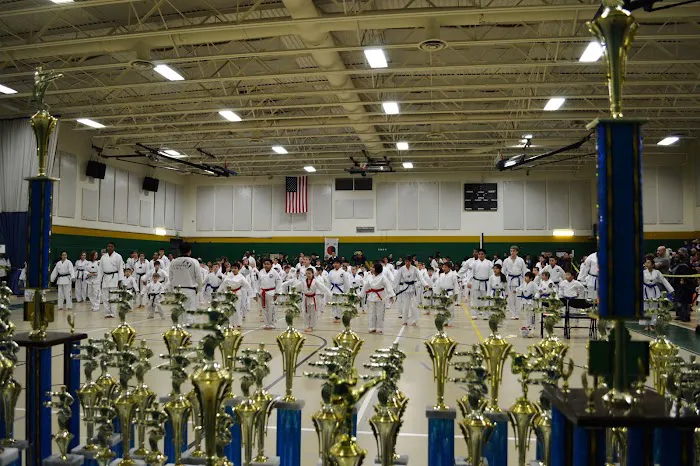Mt. Kim Martial Arts / After School Picture 4