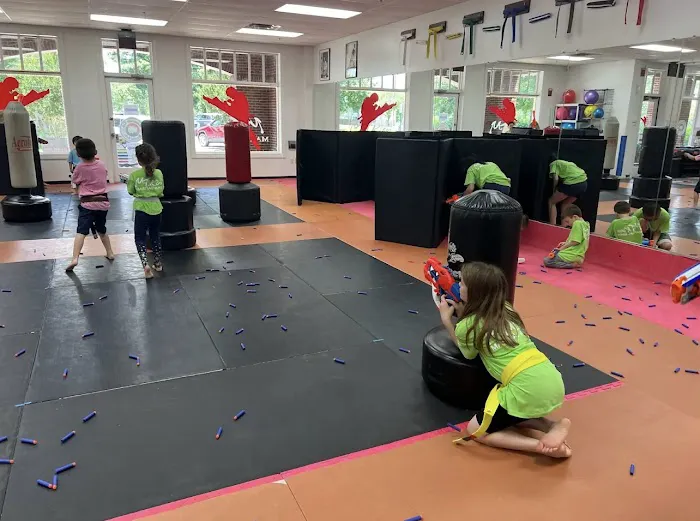 Mt. Kim Martial Arts / After School Picture 5