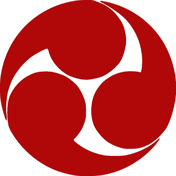 Washington Karate Academy Picture 1