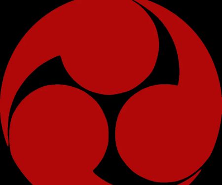 Washington Karate Academy