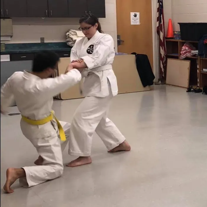 Opening Hands Karate Picture 2