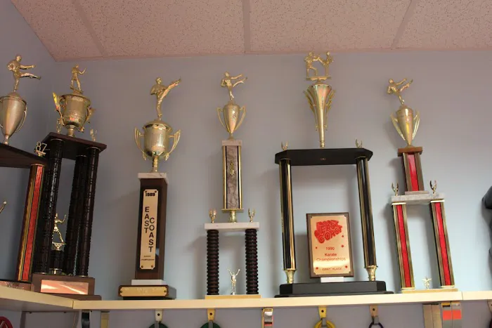 Jhoon Rhee Tae Kwon Do Picture 7