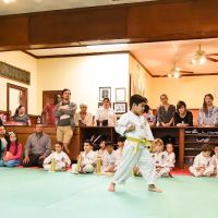 U.S. Tae Kwon Do College ico