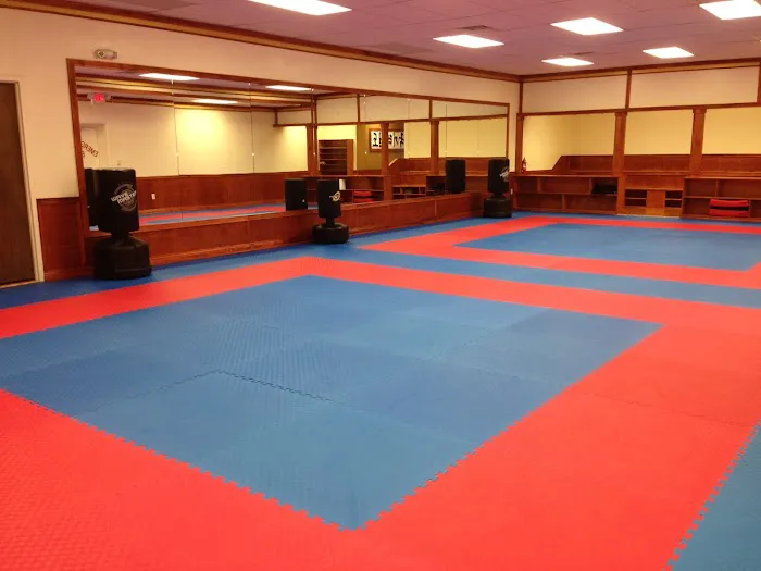 U.S. Tae Kwon Do College Picture 4