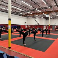 Jhoon Rhee Tae Kwon Do ico