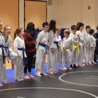 Panthera Martial Arts ico