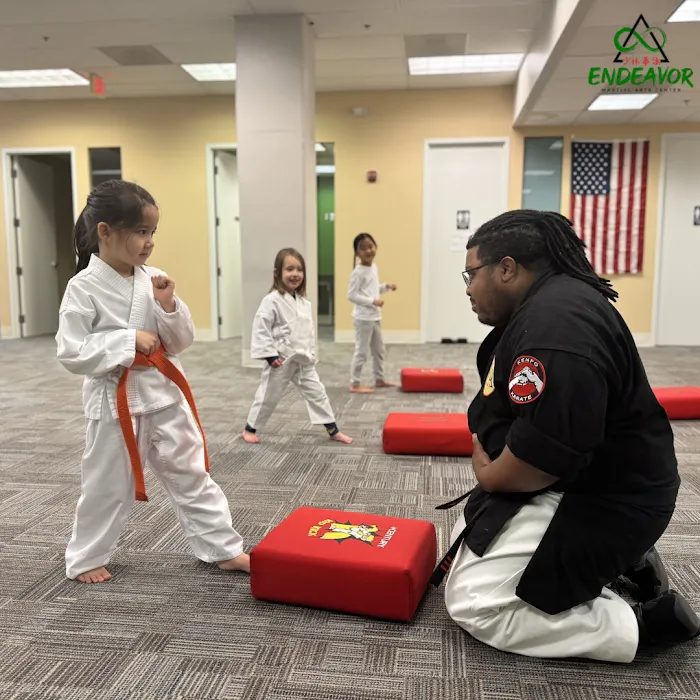 Endeavor Martial Arts Center Picture 1