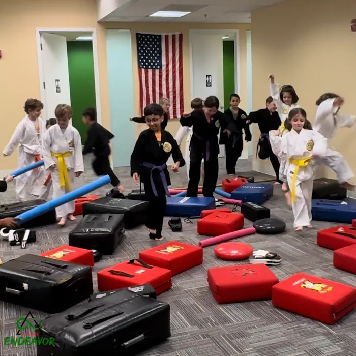 Endeavor Martial Arts Center Picture 2