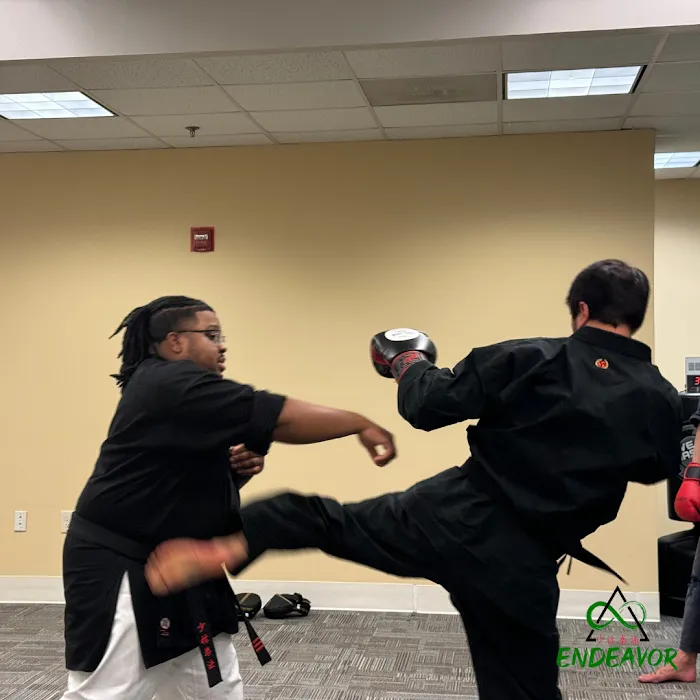 Endeavor Martial Arts Center Picture 7