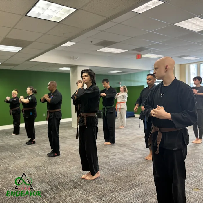 Endeavor Martial Arts Center Picture 8