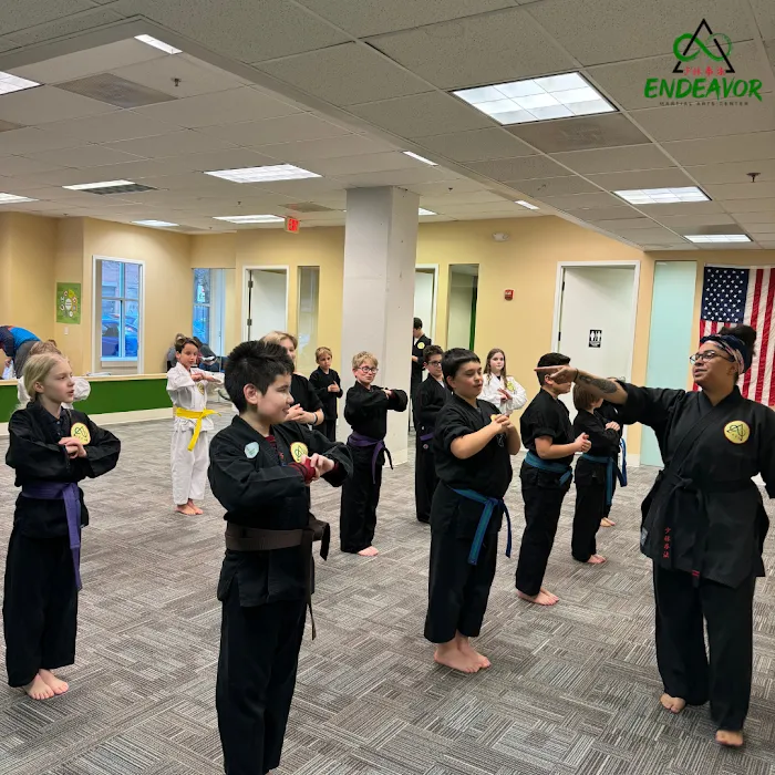 Endeavor Martial Arts Center Picture 9
