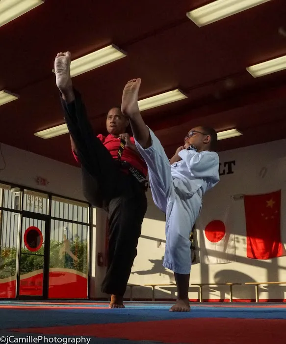 Martial Artz Academy Picture 1