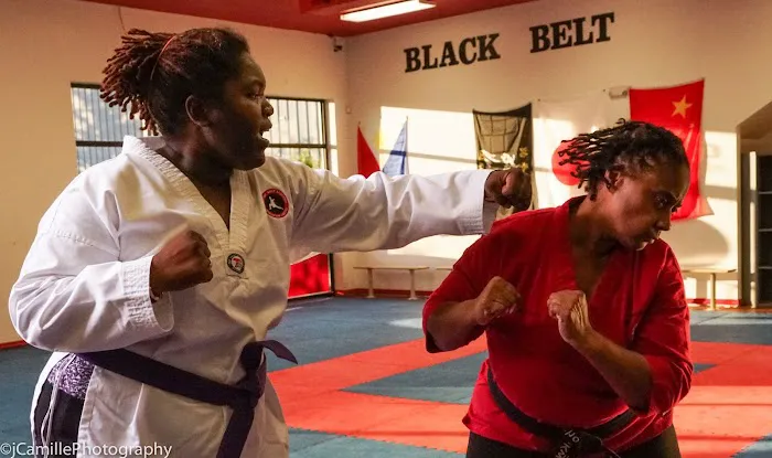 Martial Artz Academy Picture 6