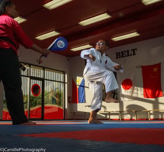 Martial Artz Academy Picture 4