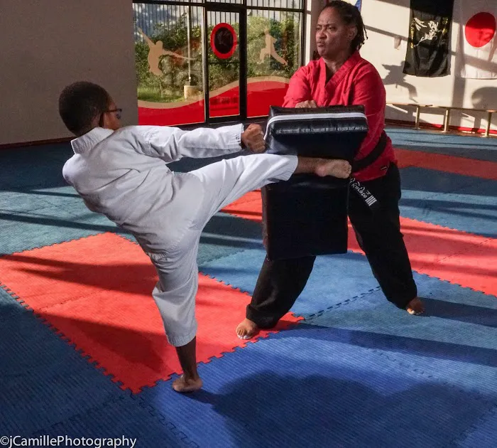 Martial Artz Academy Picture 8