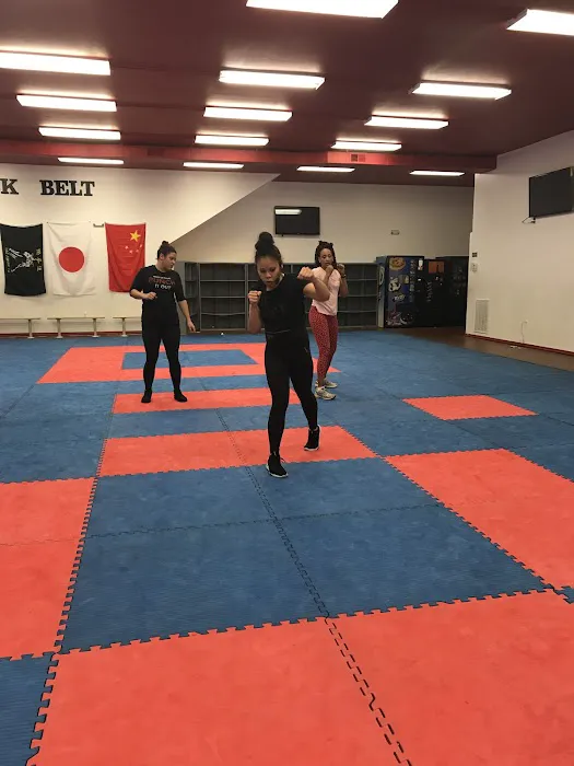 Martial Artz Academy Picture 10