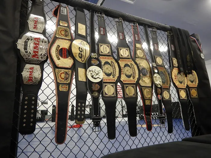 Royal Martial Arts LLC Picture 2