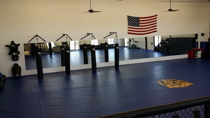 Royal Martial Arts LLC Picture 3