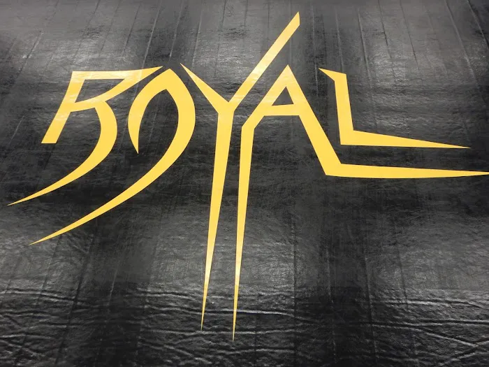 Royal Martial Arts LLC Picture 4