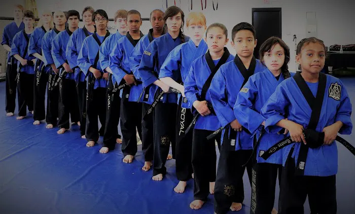 Royal Martial Arts LLC Picture 6