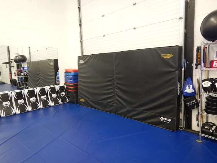 Royal Martial Arts LLC Picture 8