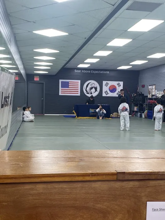 Eagle Tae Kwon Do Picture 6